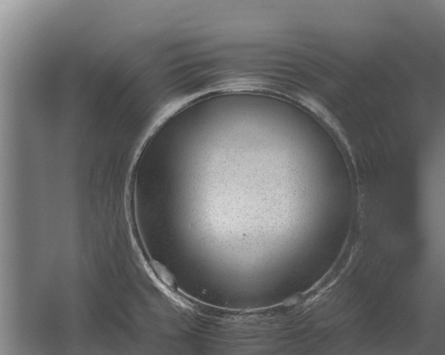 X0000060231429200511041219