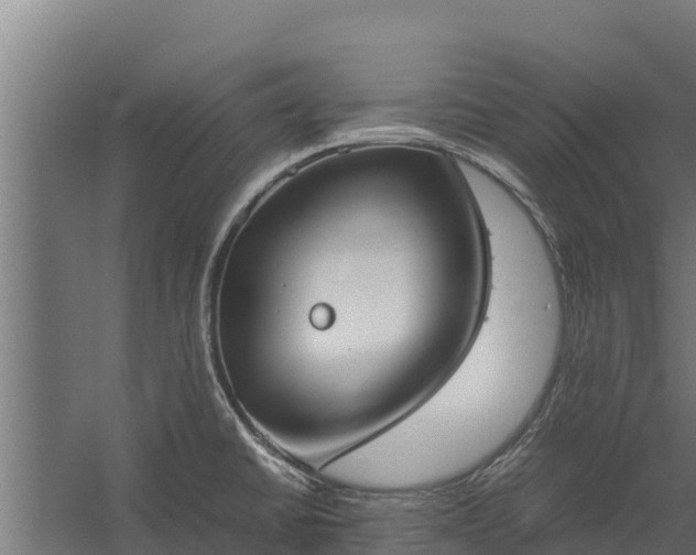 X0000060231430200511041219