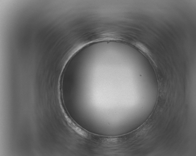 X0000060231431200511041219