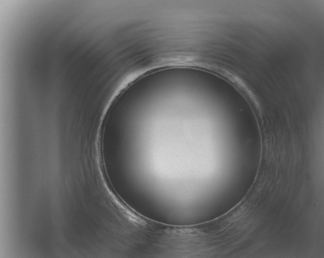 X0000060231432200511041219