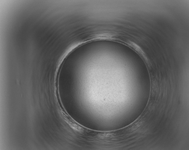 X0000060231435200511041219