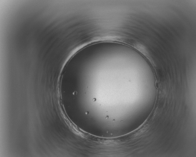 X0000060231436200511041219