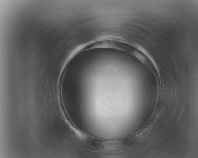 X0000060231437200511041219