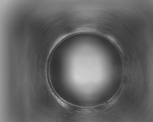 X0000060231438200511041219