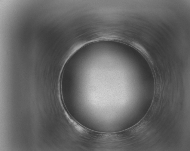 X0000060231439200511041219