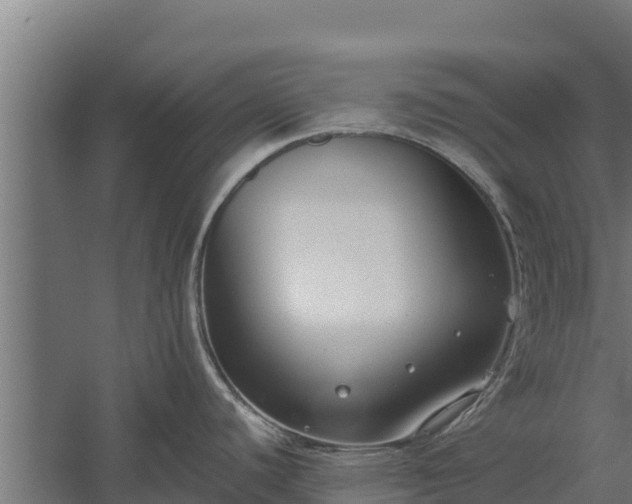 X0000060231440200511041219