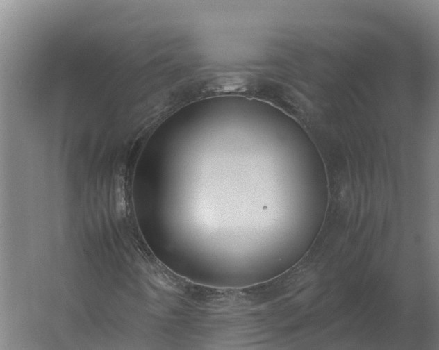 X0000060231442200511041218