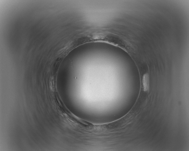 X0000060231443200511041218