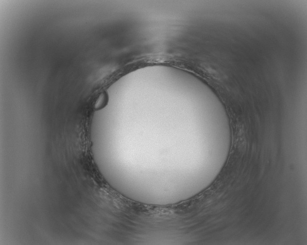 X0000060231446200511041218