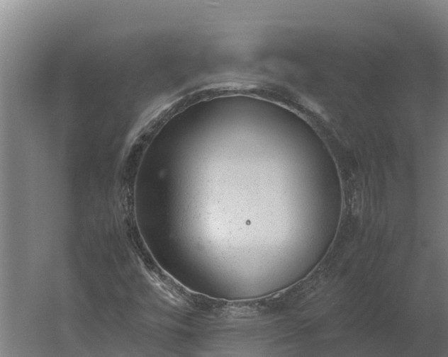 X0000060231448200511041218