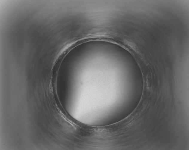 X0000060231452200511041218