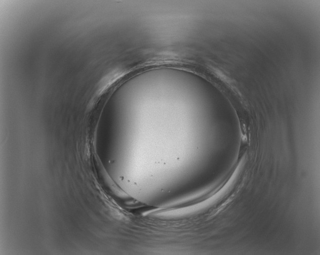 X0000060231453200511041218