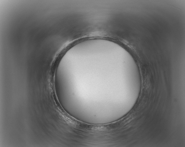 X0000060231454200511041218