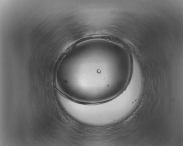 X0000060231457200511041218