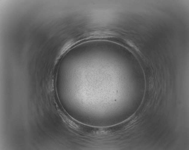 X0000060231459200511041218