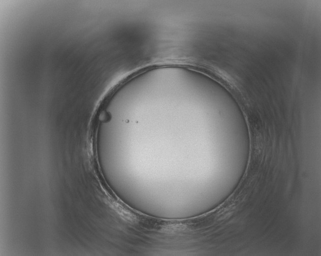 X0000060231462200511041218