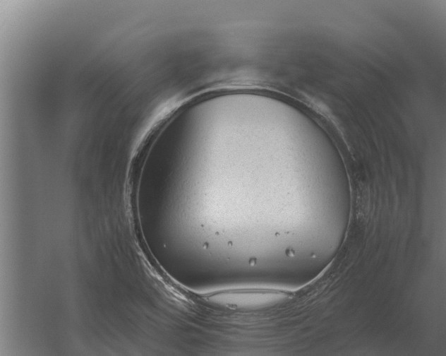 X0000060231464200511041218