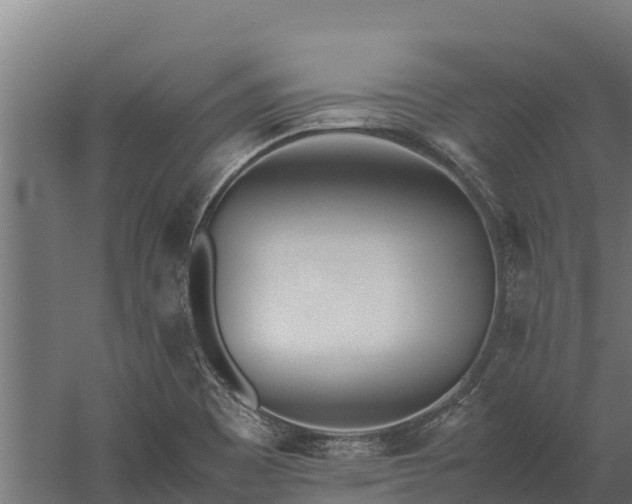 X0000060231465200511041218