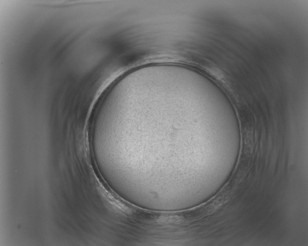 X0000060231466200511041218