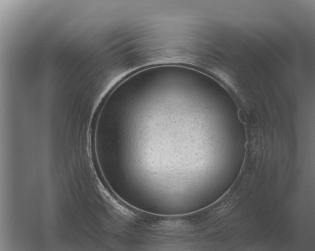 X0000060231468200511041218