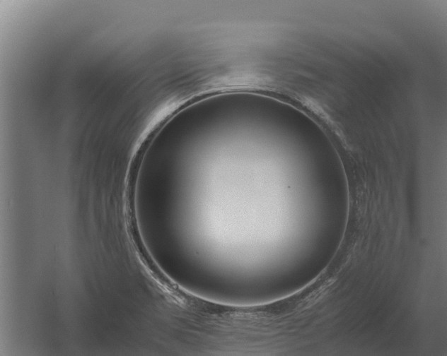 X0000060231469200511041218