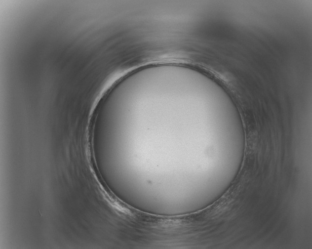 X0000060231470200511041218