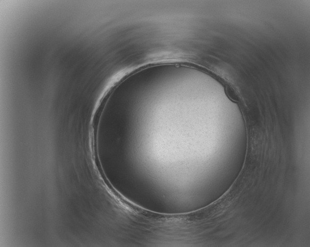 X0000060231472200511041218