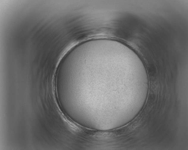 X0000060231474200511041218