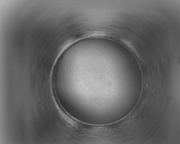 X0000060231475200511041218