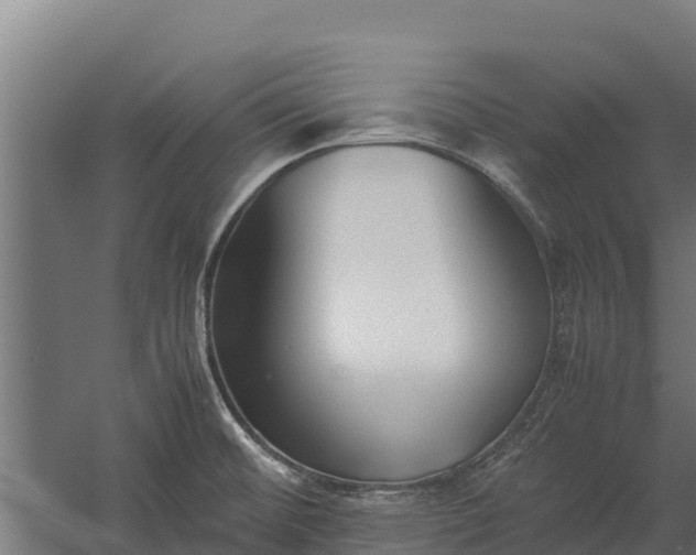 X0000060231476200511041218