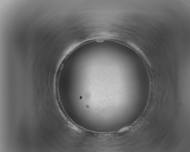 X0000060231477200511041218