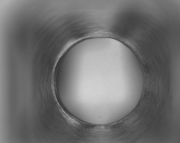 X0000060231478200511041218