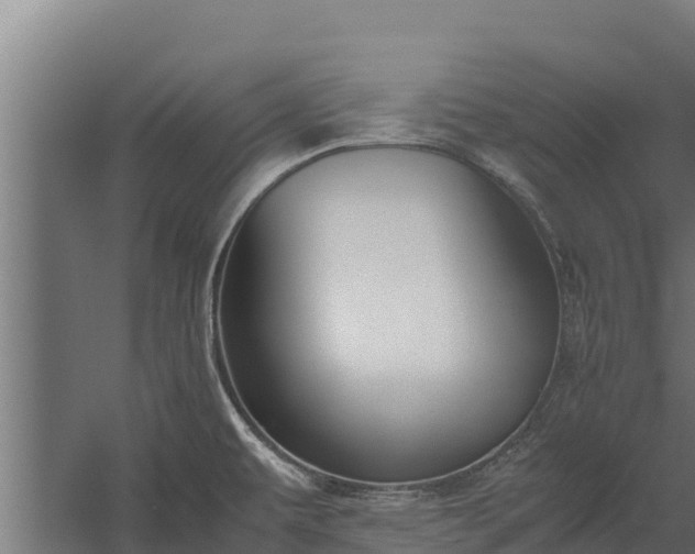 X0000060231479200511041218