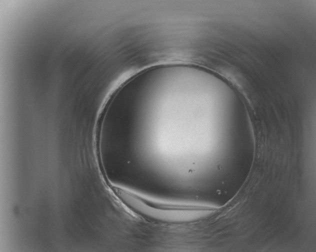 X0000060231480200511041218