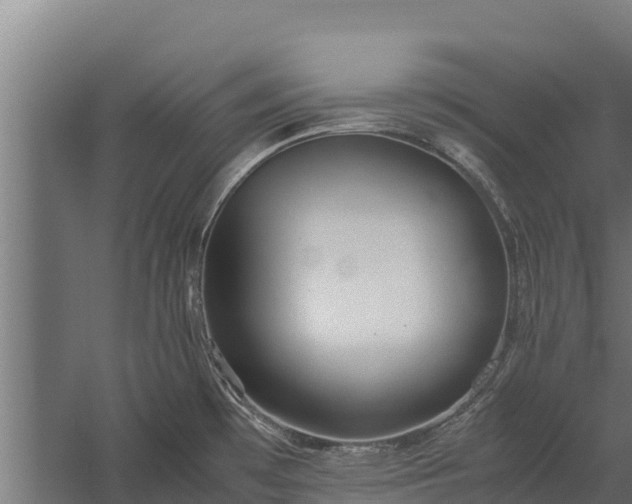 X0000060231481200511041218