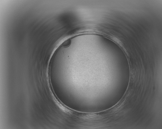 X0000060231482200511041218