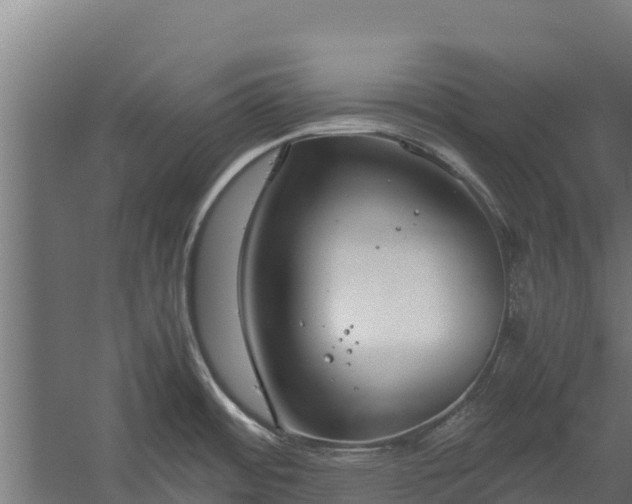 X0000060231484200511041218