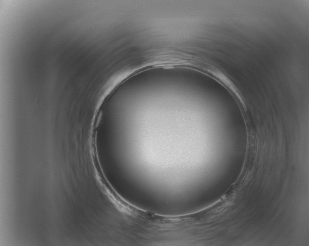 X0000060231485200511041217