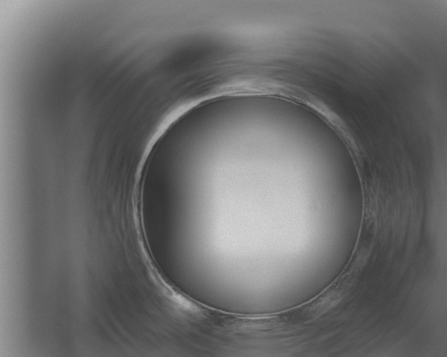 X0000060231486200511041217