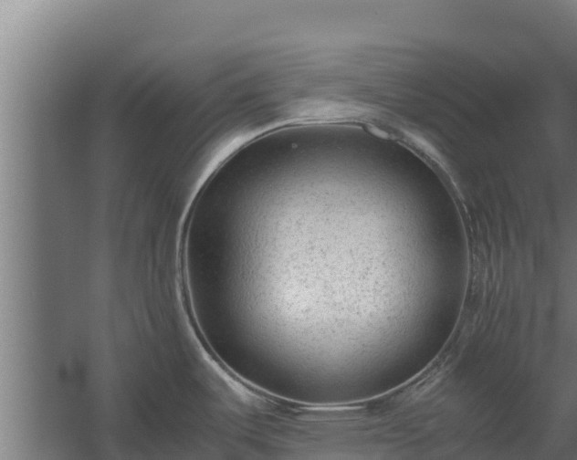 X0000060231487200511041217