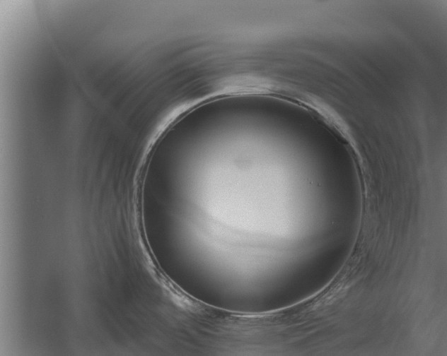 X0000060231488200511041217