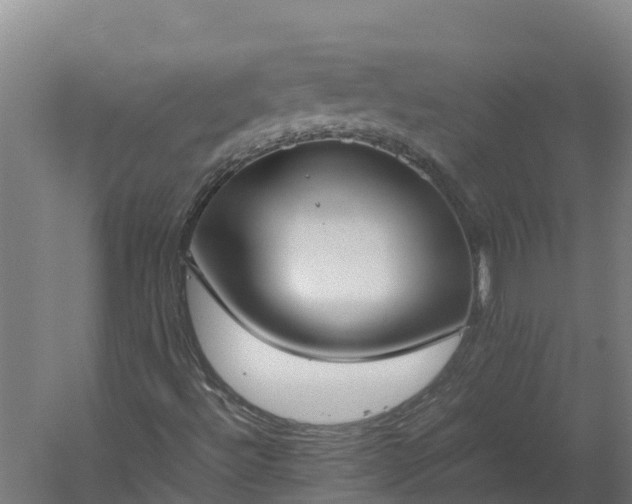 X0000060231492200511041217