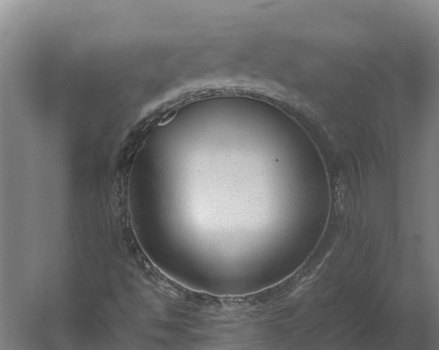 X0000060231494200511041217