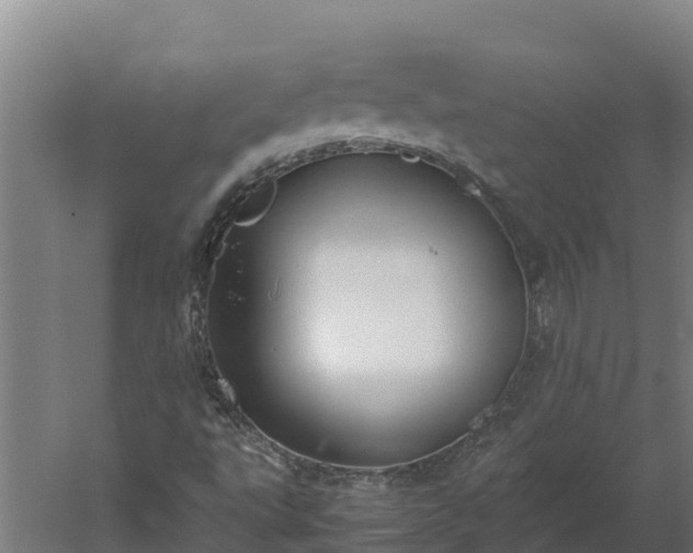 X0000060231495200511041217