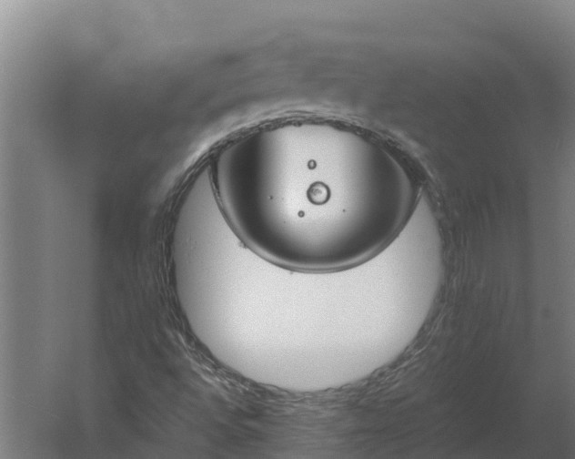 X0000060231496200511041217