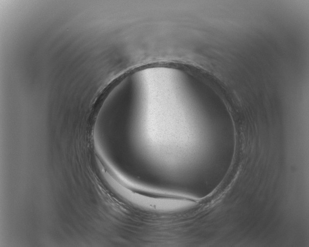 X0000060231497200511041217