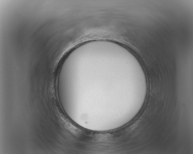 X0000060231498200511041217