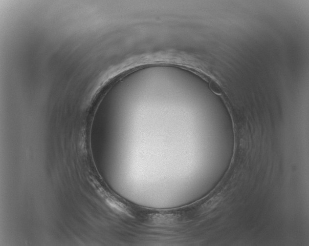 X0000060231499200511041217