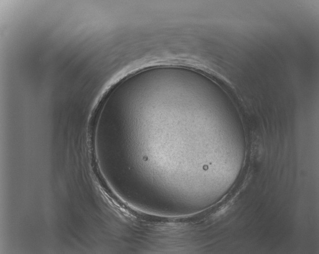 X0000060231506200511041217