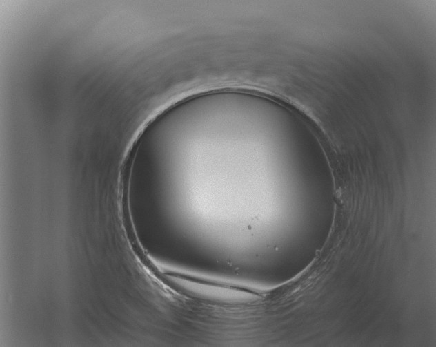 X0000060231508200511041217